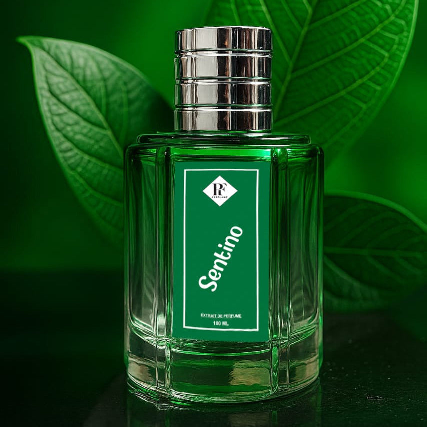 Sentino  For Men